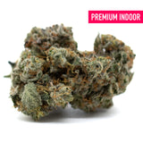 Dense trichome-covered Mint Runtz Indoor THCa Flower with orange pistils, premium THC flower