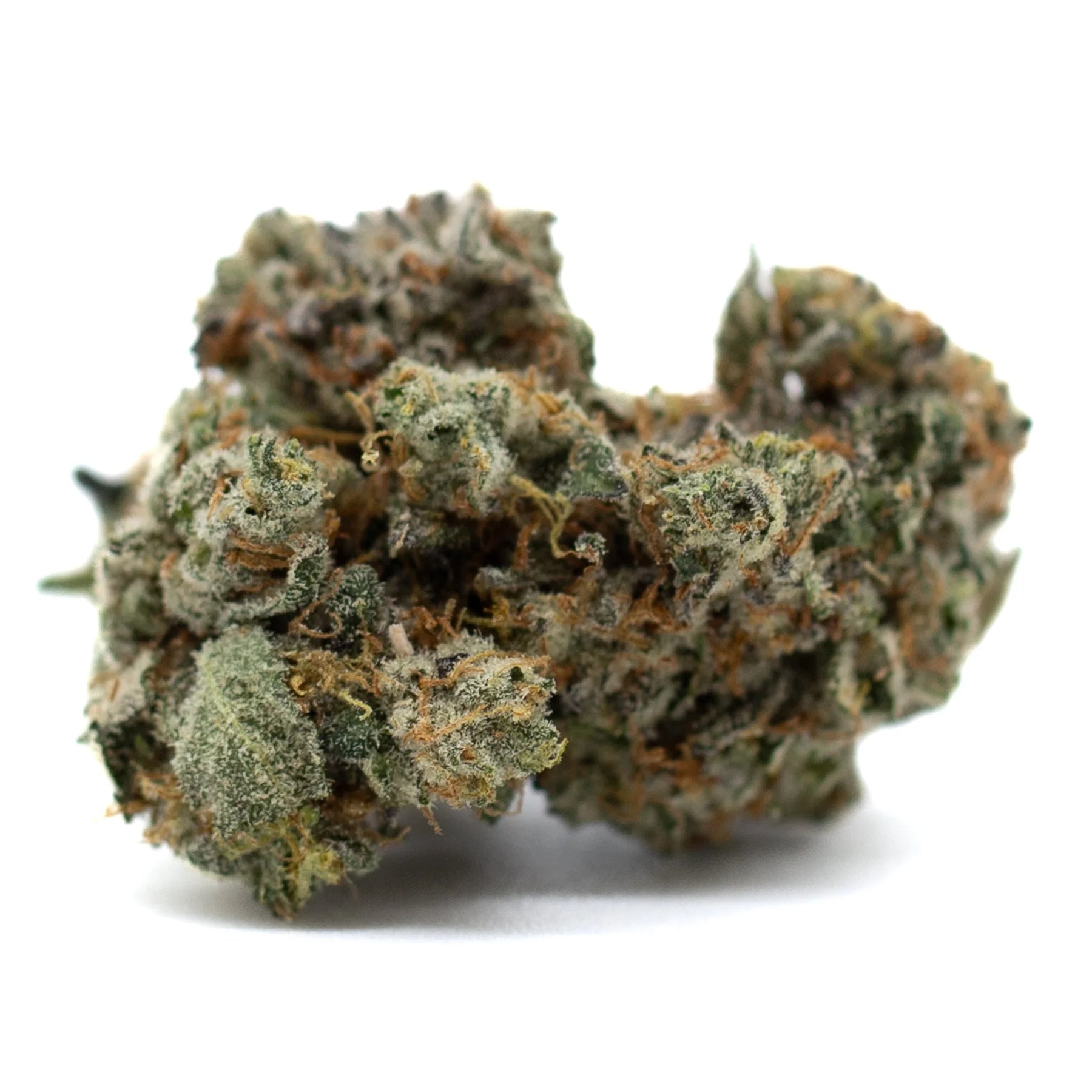 Dense green Mint Runtz Indoor THCa Flower with orange pistils and trichomes