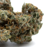 Dried Mint Runtz Indoor THCa Flower with trichomes and orange pistils