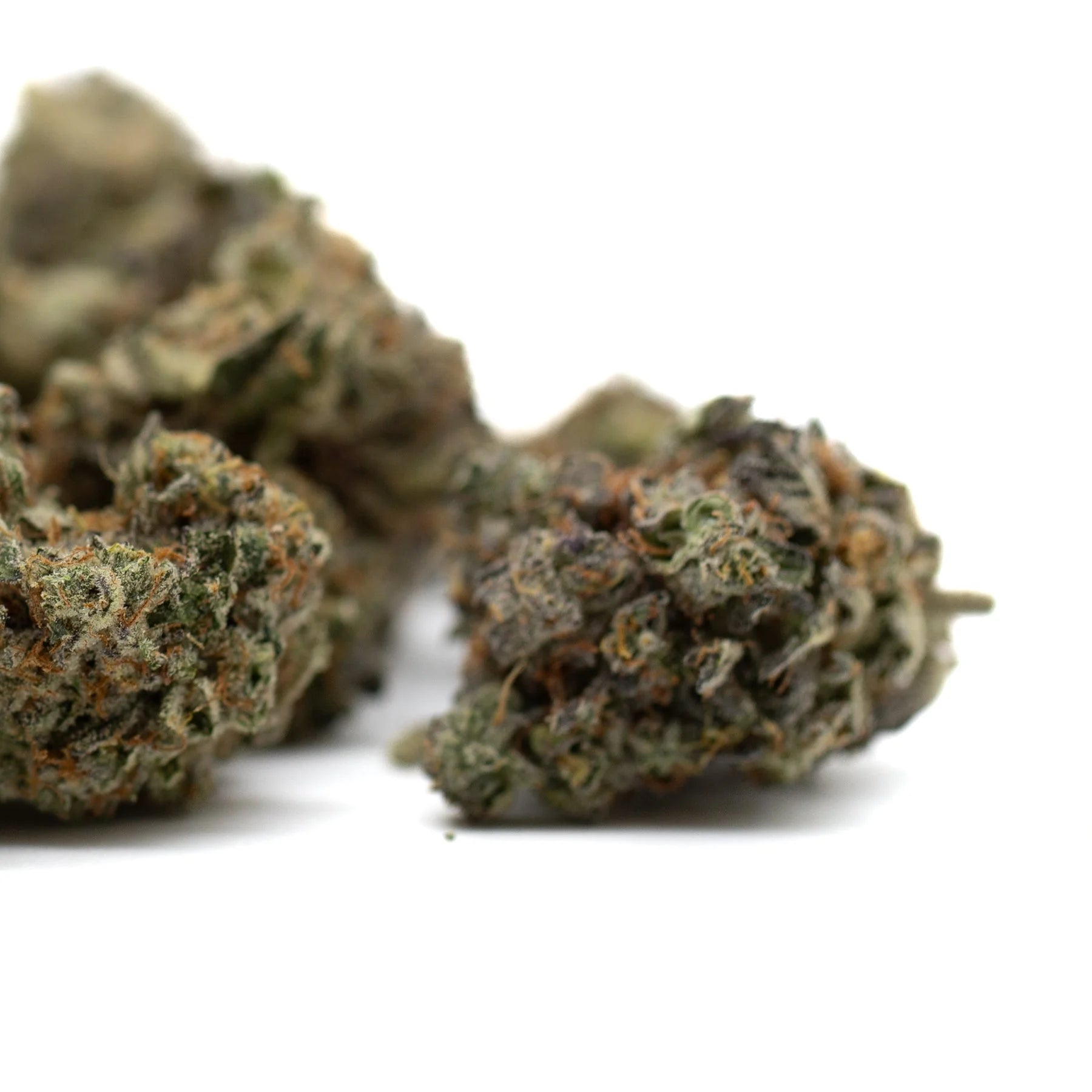 Dried cannabis buds with trichomes and orange hairs from Mint Runtz Indoor THCa Flower