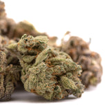 Money Ball Indoor THCa Flower with cannabis buds, trichomes, and orange pistils