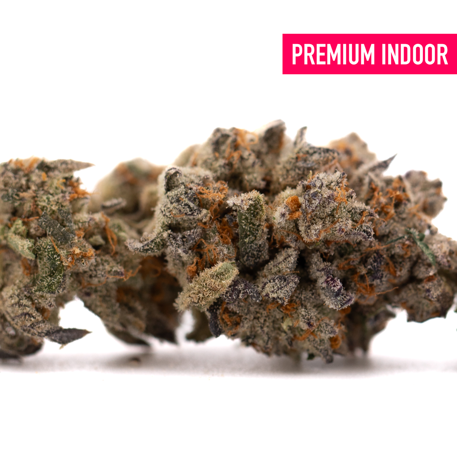 Close-up of Money Ball Indoor THCa Flower showing dense green purple buds with orange pistils