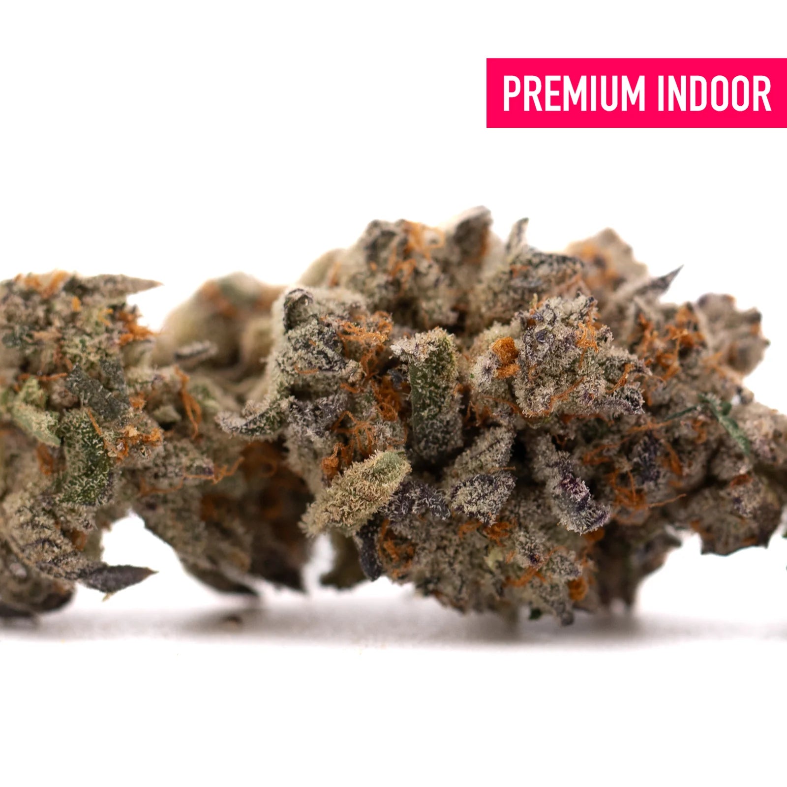Close-up of Money Ball Indoor THCa Flower showing dense green purple buds with orange pistils