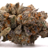 Money Ball Indoor THCa Flower with purple and green dense cannabis nug and trichomes