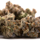 Money Ball Indoor THCa Flower with orange hairs and frosty trichomes for premium effects profile