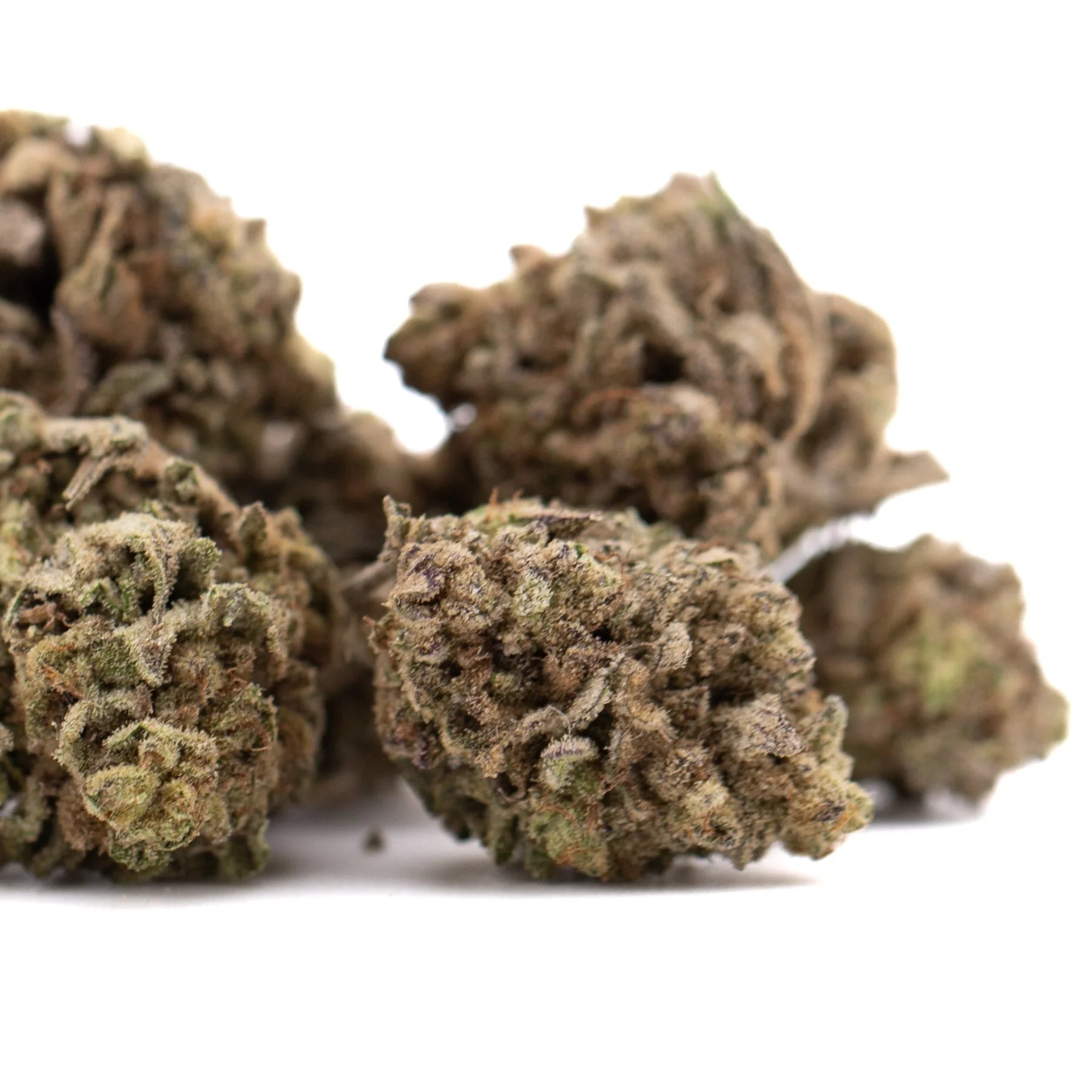Money Ball THCa hemp flower bud in greenhouse display