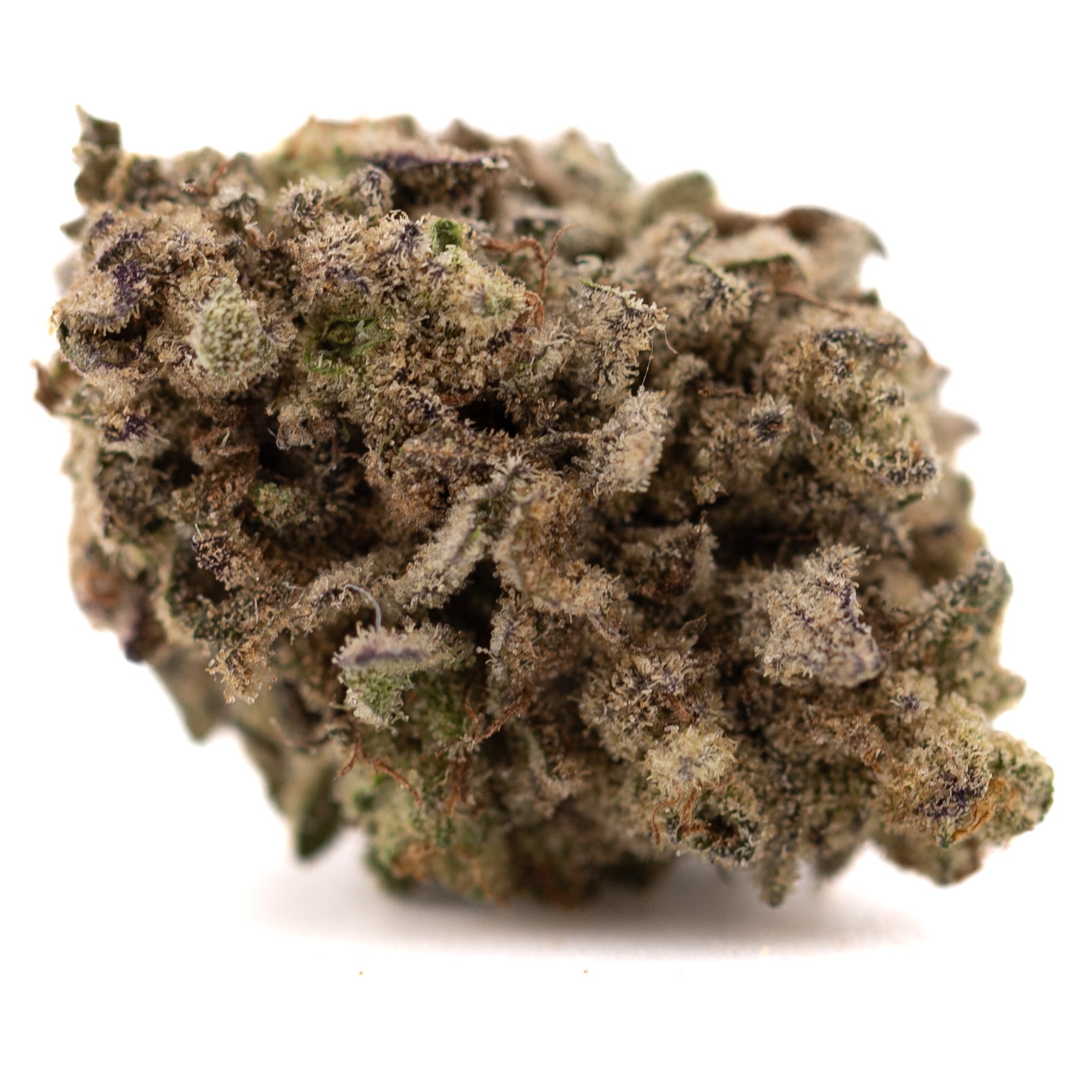 Money Ball THCa hemp flower bud with green, brown hues and trichomes
