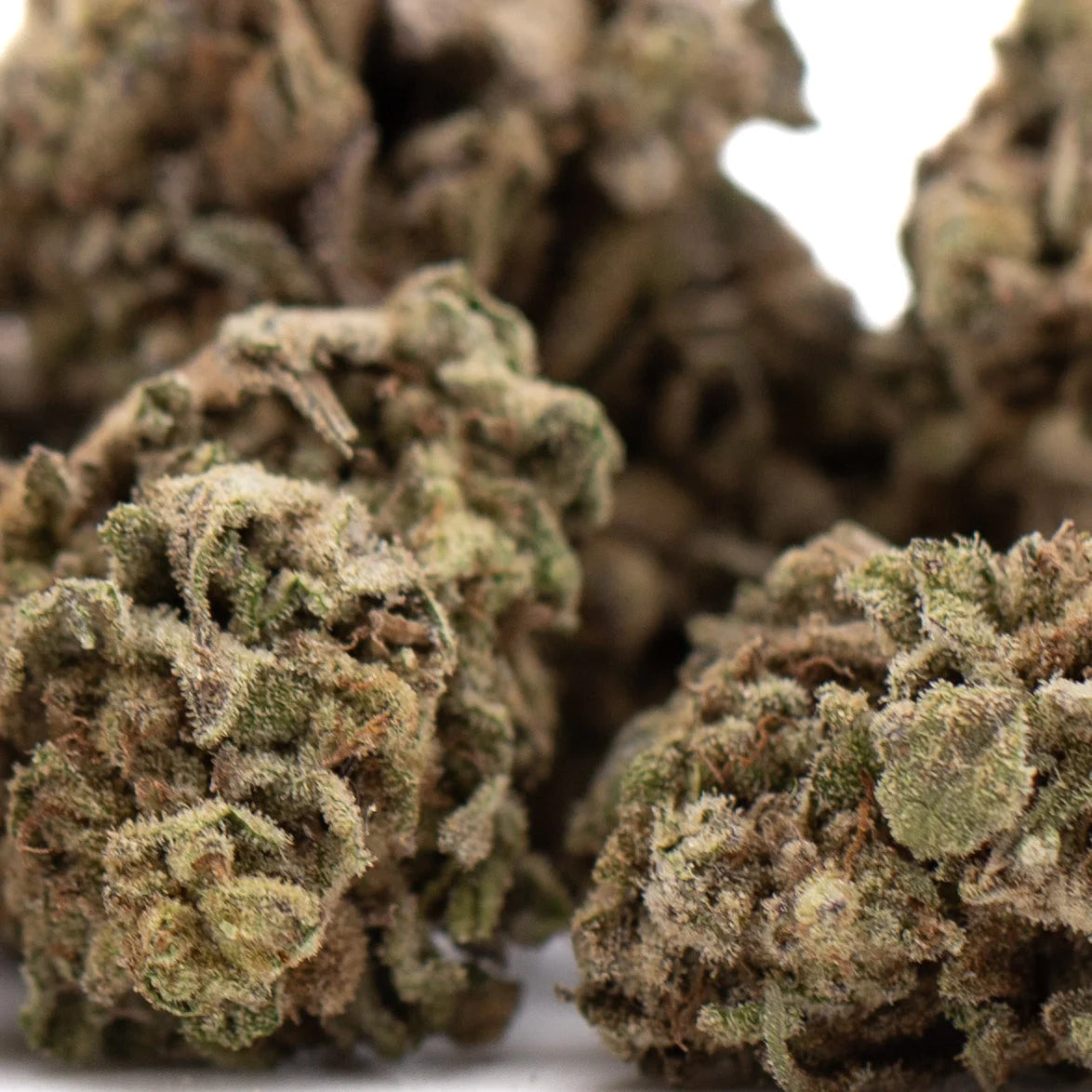 Money Ball THCa hemp flower bud with trichomes and green leaves
