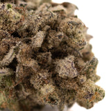 Premium Money Ball THCa hemp flower bud with dense trichomes