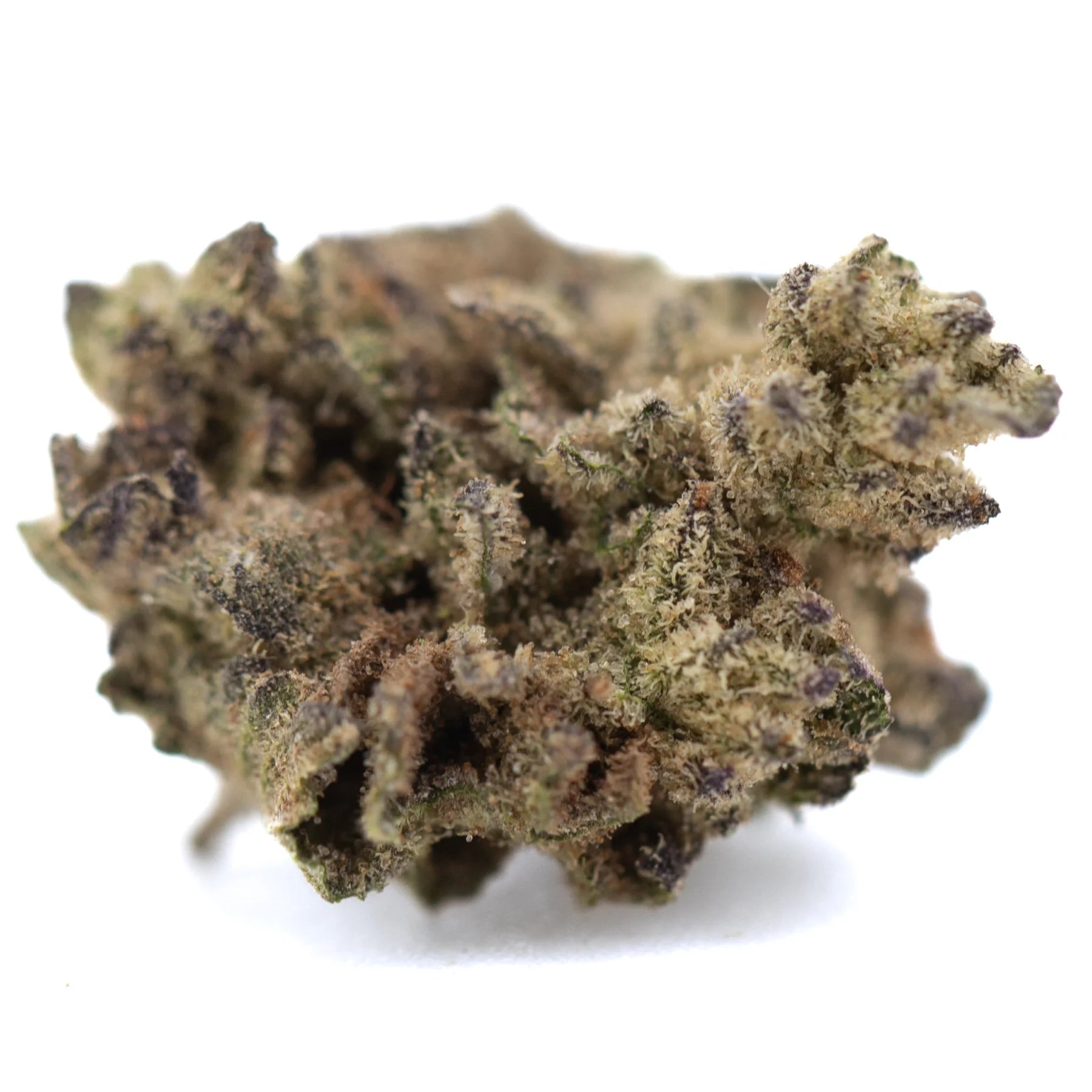 A dense money ball’s hemp flower with green and brown hues covered in fine trichomes gary poppins strain