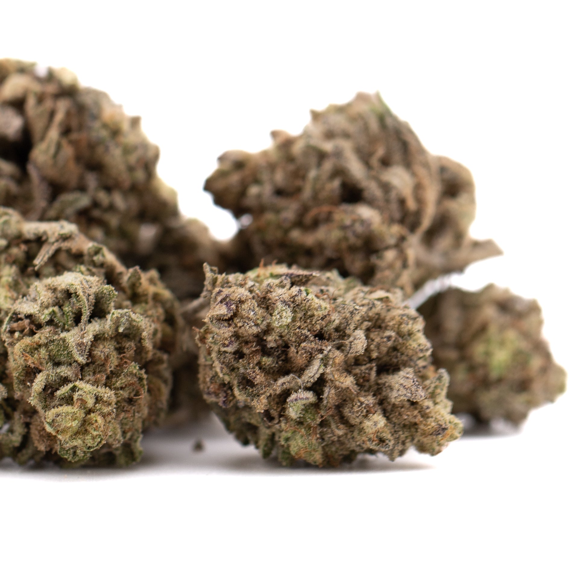 Money Ball Gary Payton THCa hemp flower marijuana bud