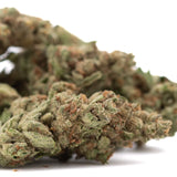 A dense green moroccan peach’s greenhouse thca flower bud with fine trichomes and hints of brown texture