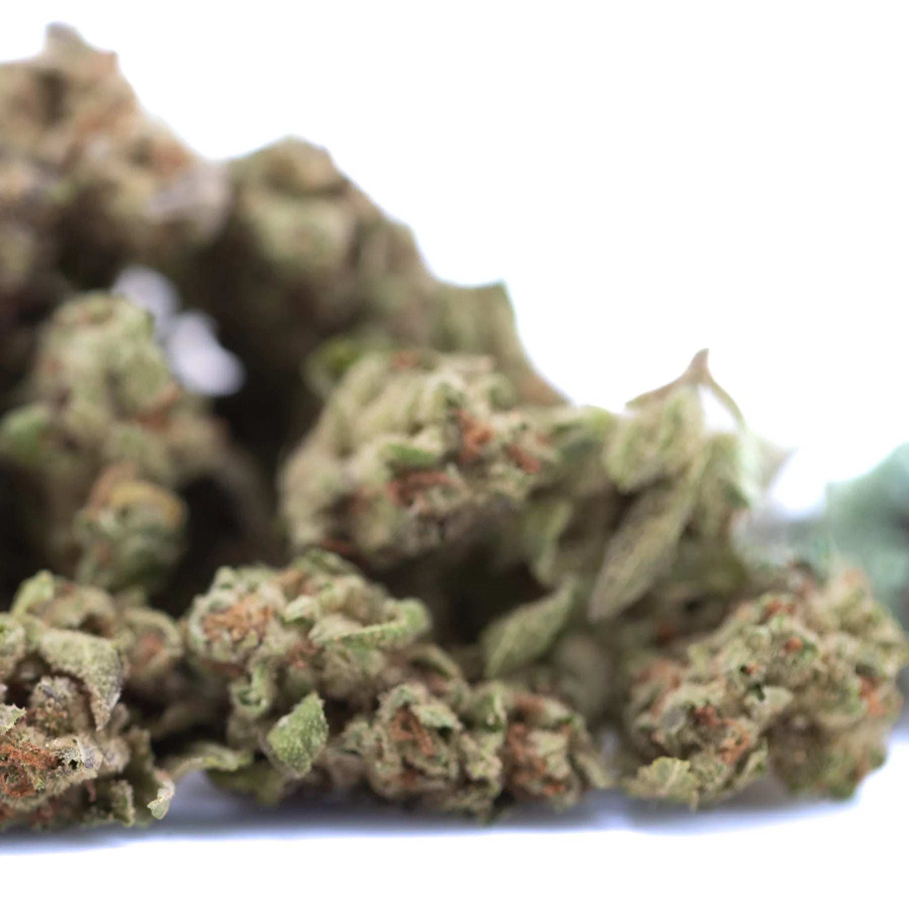 Dense green moroccan peach hemp flower bud with textured surface and subtle orange pistils from greenhouse smalls