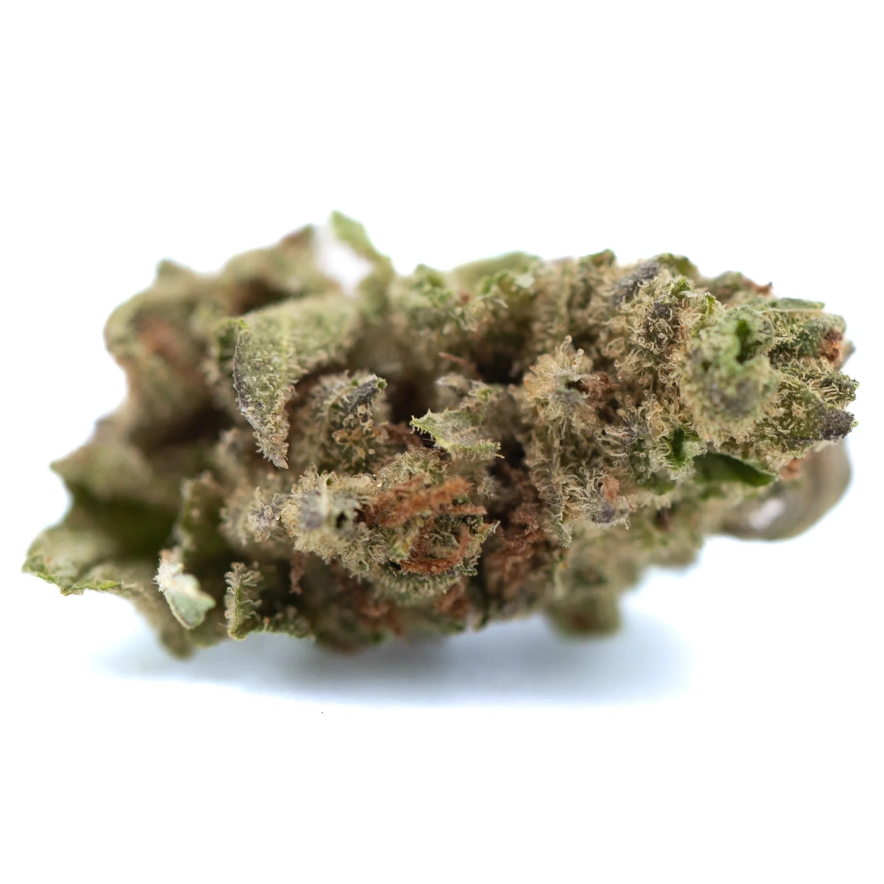 A dense green moroccan peach hemp flower bud with fine trichomes and subtle orange pistils from lemon tree skorange