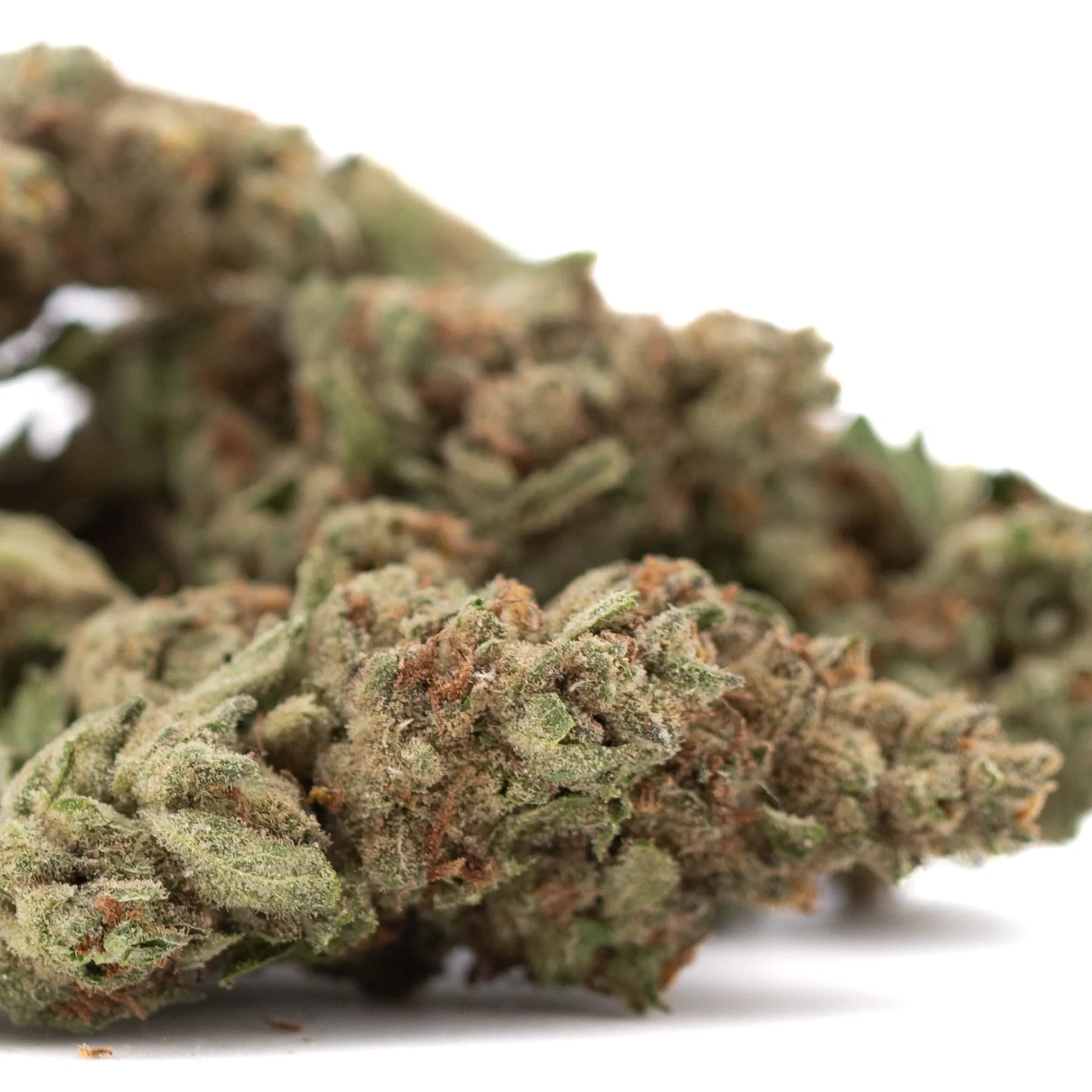 A dense green moroccan peach thca hemp flower bud covered in fine trichomes with hints of brown and exotic moroccan traits