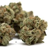 Close-up of Moroccan Peaches Indoor THCa Flower with trichomes and orange hairs