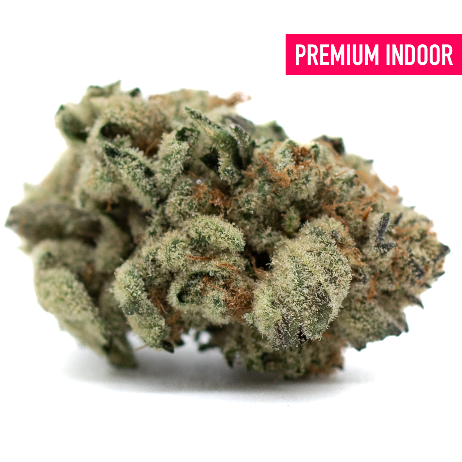 Dense Moroccan Peaches Indoor THCa Flower with trichomes and orange pistils