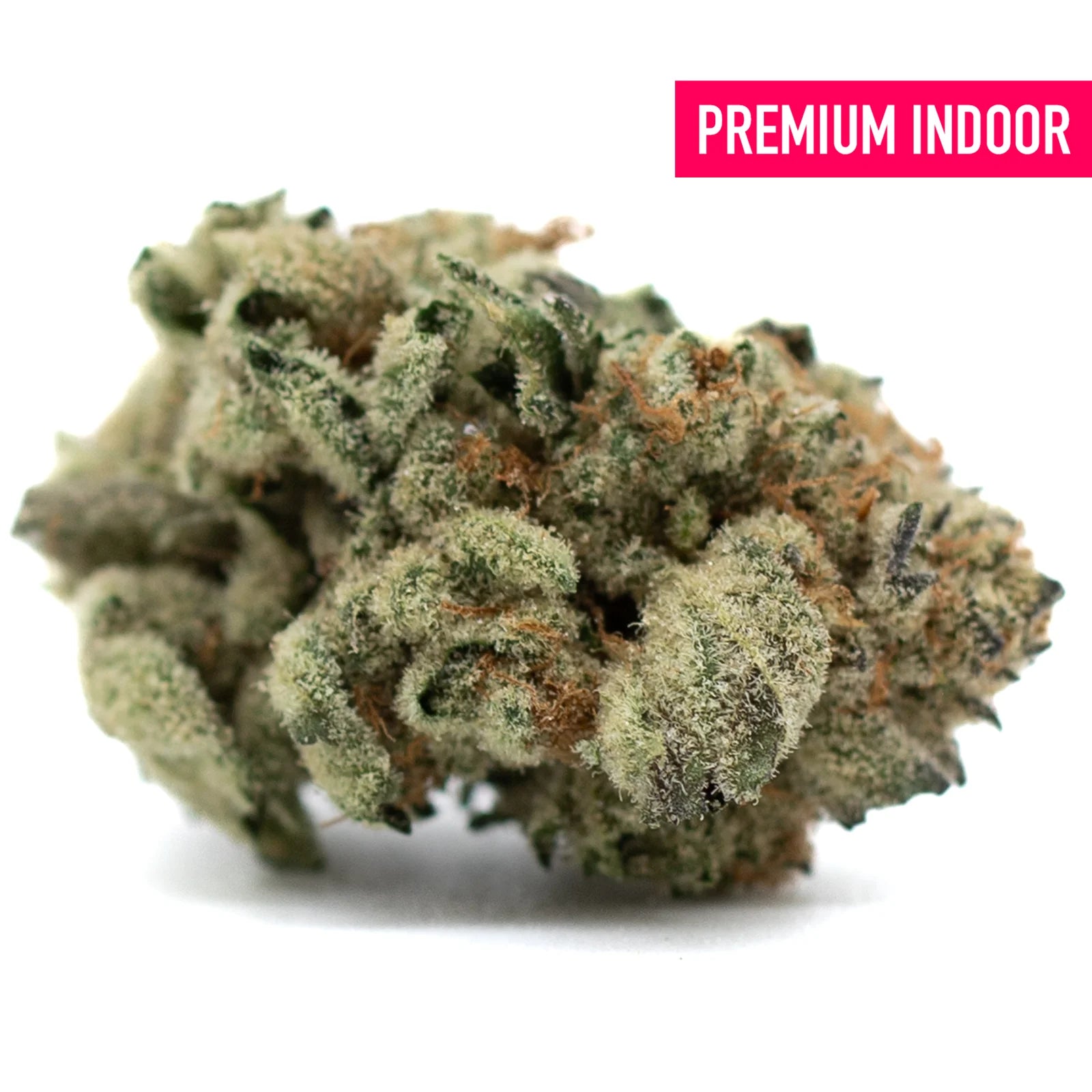 Dense Moroccan Peaches Indoor THCa Flower with trichomes and orange pistils