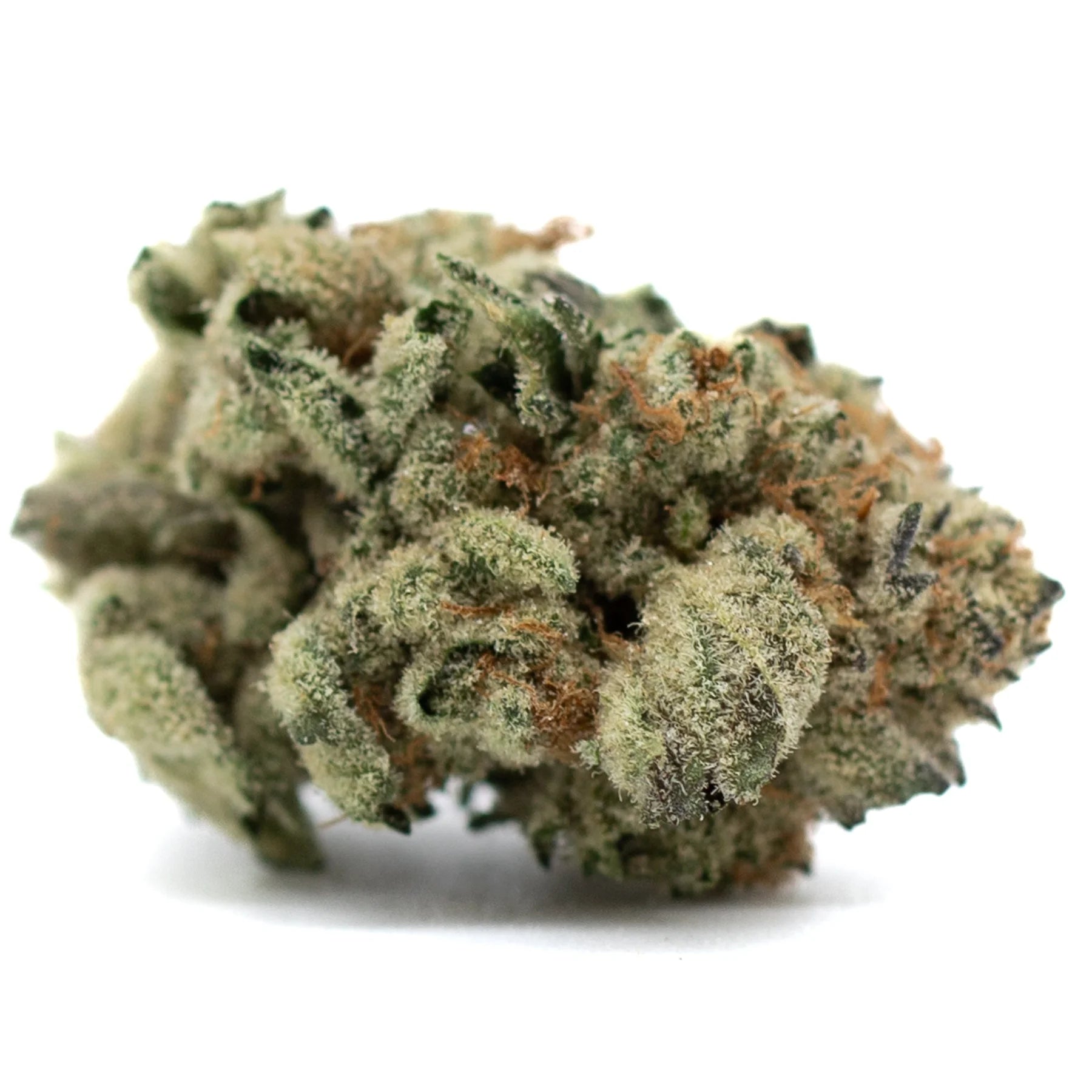 Moroccan Peaches THCa Flower indoor hemp flower with dense trichomes and orange pistils