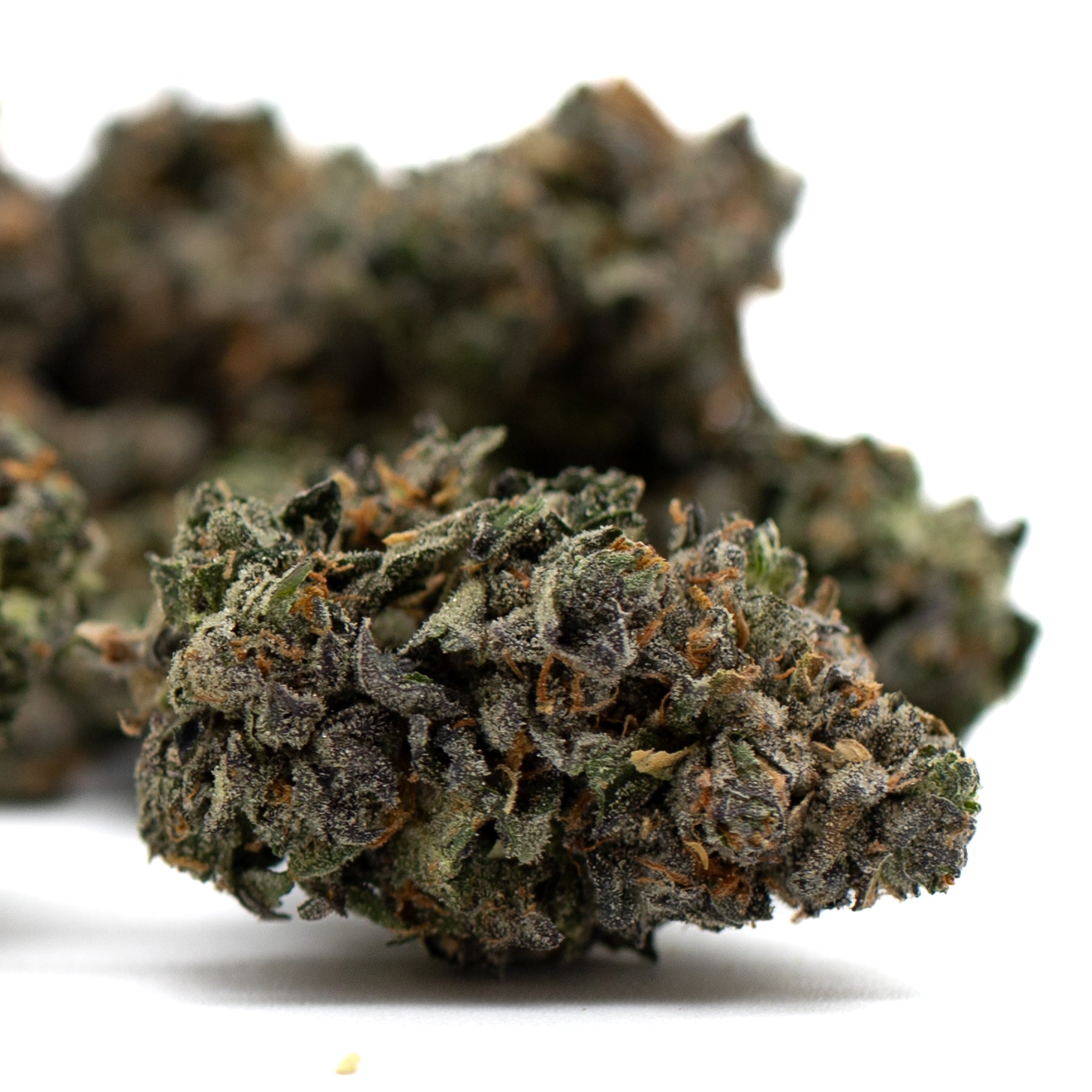 Motorbreath Indoor THCa cannabis flower with dark green purple buds and orange hairs