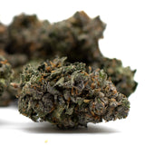 Motorbreath Indoor THCa cannabis flower with dark green purple buds and orange hairs
