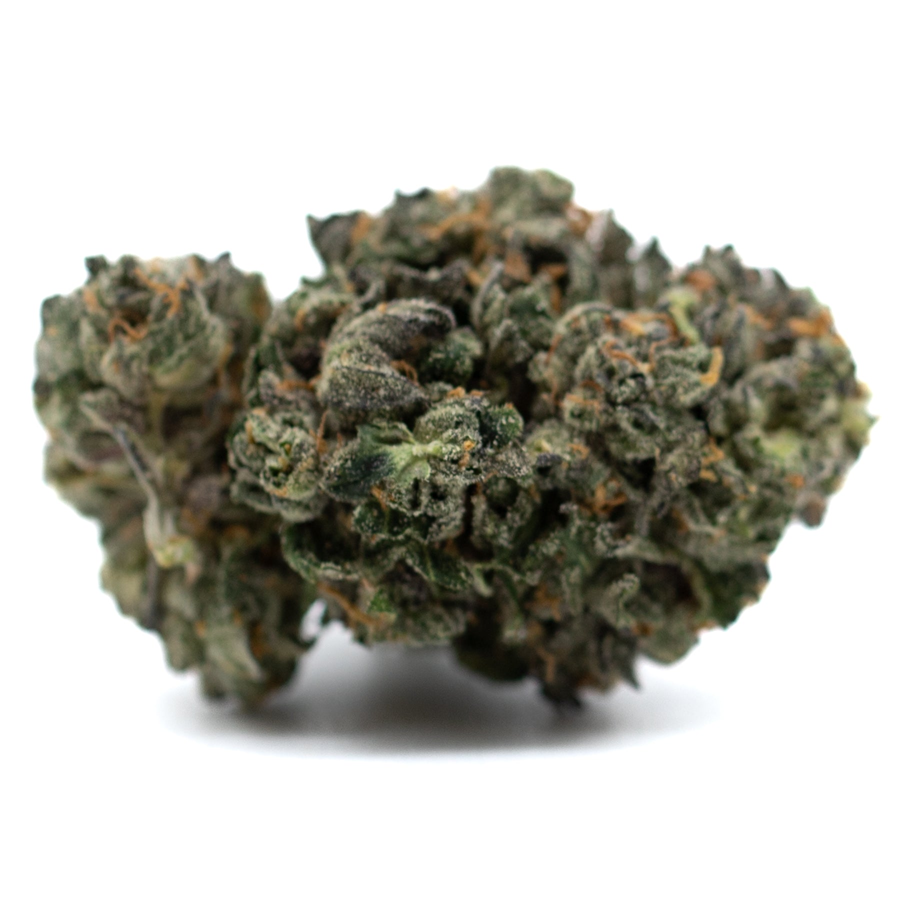 Motorbreath Indoor THCA cannabis bud with purple hues, orange pistils, frosty trichomes