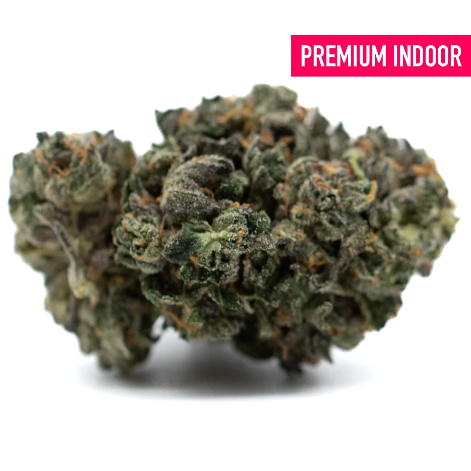 Dense trichome-rich cannabis bud with orange hairs from Motorbreath Indoor THCa Flower, spicy diesel aroma