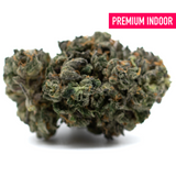 Dense trichome-rich cannabis bud with orange hairs from Motorbreath Indoor THCa Flower, spicy diesel aroma