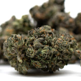 Dried cannabis buds with trichomes and orange hairs from Motorbreath Indoor THCa Flower featuring spicy diesel aroma