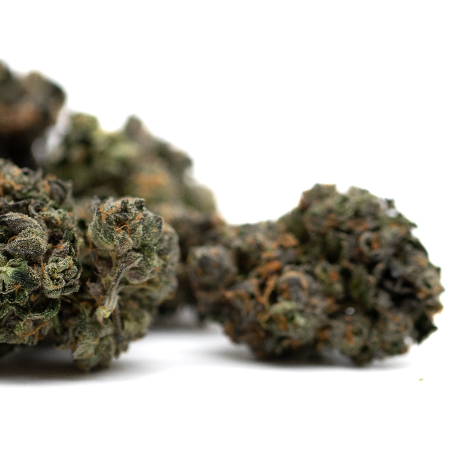 Motorbreath Indoor THCa Flower with spicy diesel aroma and orange hairs