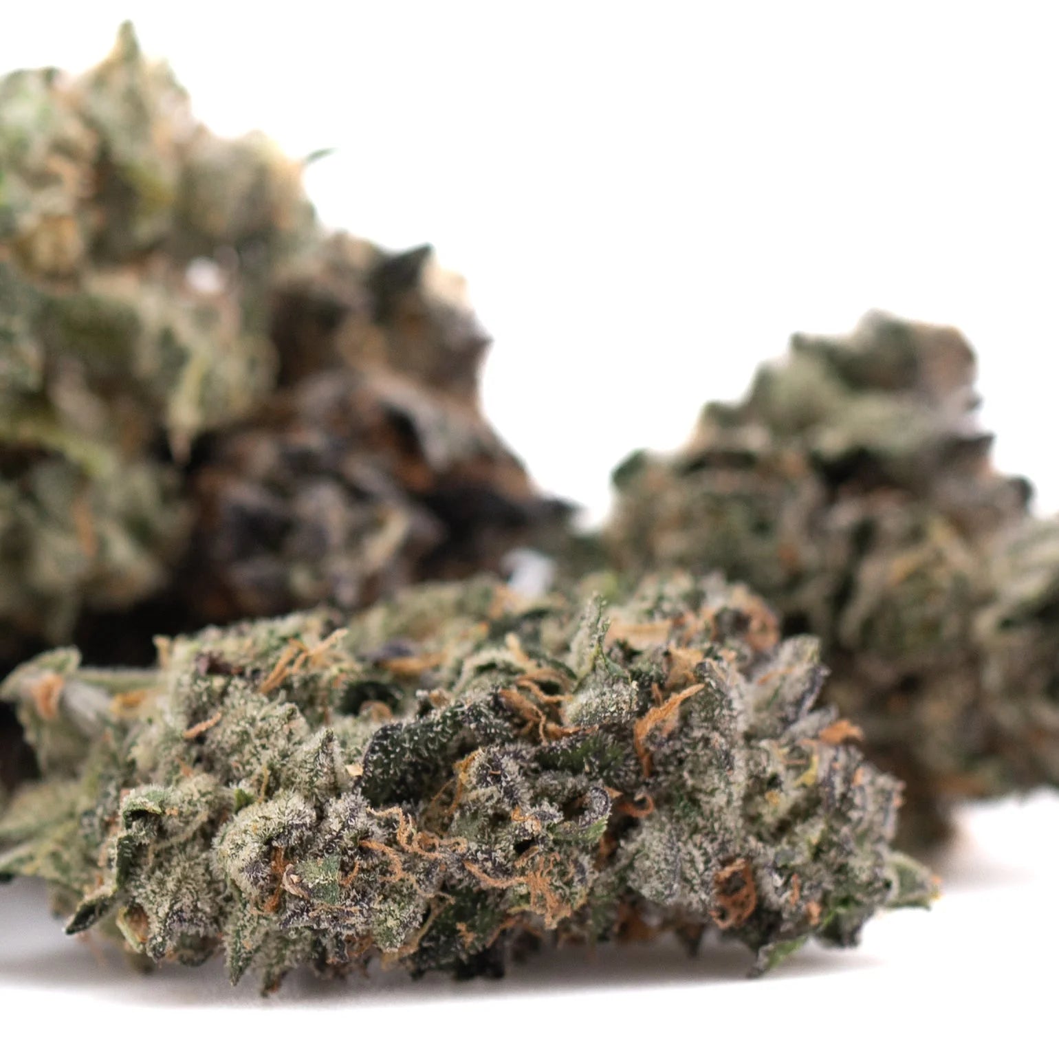 Mountain huckleberry indoor thca flower hemp flower with dense green buds frosty trichomes and orange pistils oregon blueberry