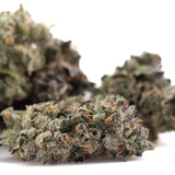 Mountain huckleberry indoor thca flower hemp flower with dense green buds frosty trichomes and orange pistils oregon blueberry