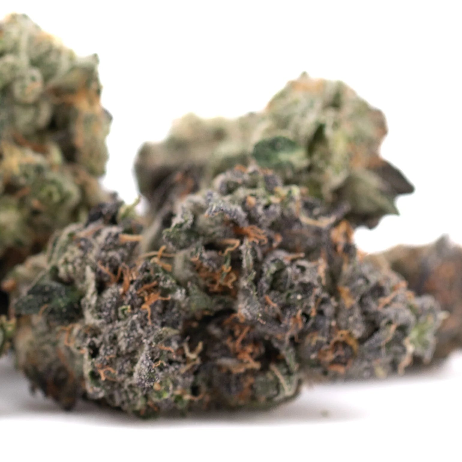 Green and orange-hued mountain huckleberry indoor hemp flower with dense frosty texture highlighting oregon blueberry strain