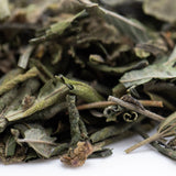 Dried green tea leaves in light and dark shades with curls for nascar greenhouse thca trim hemp flower terpene profile