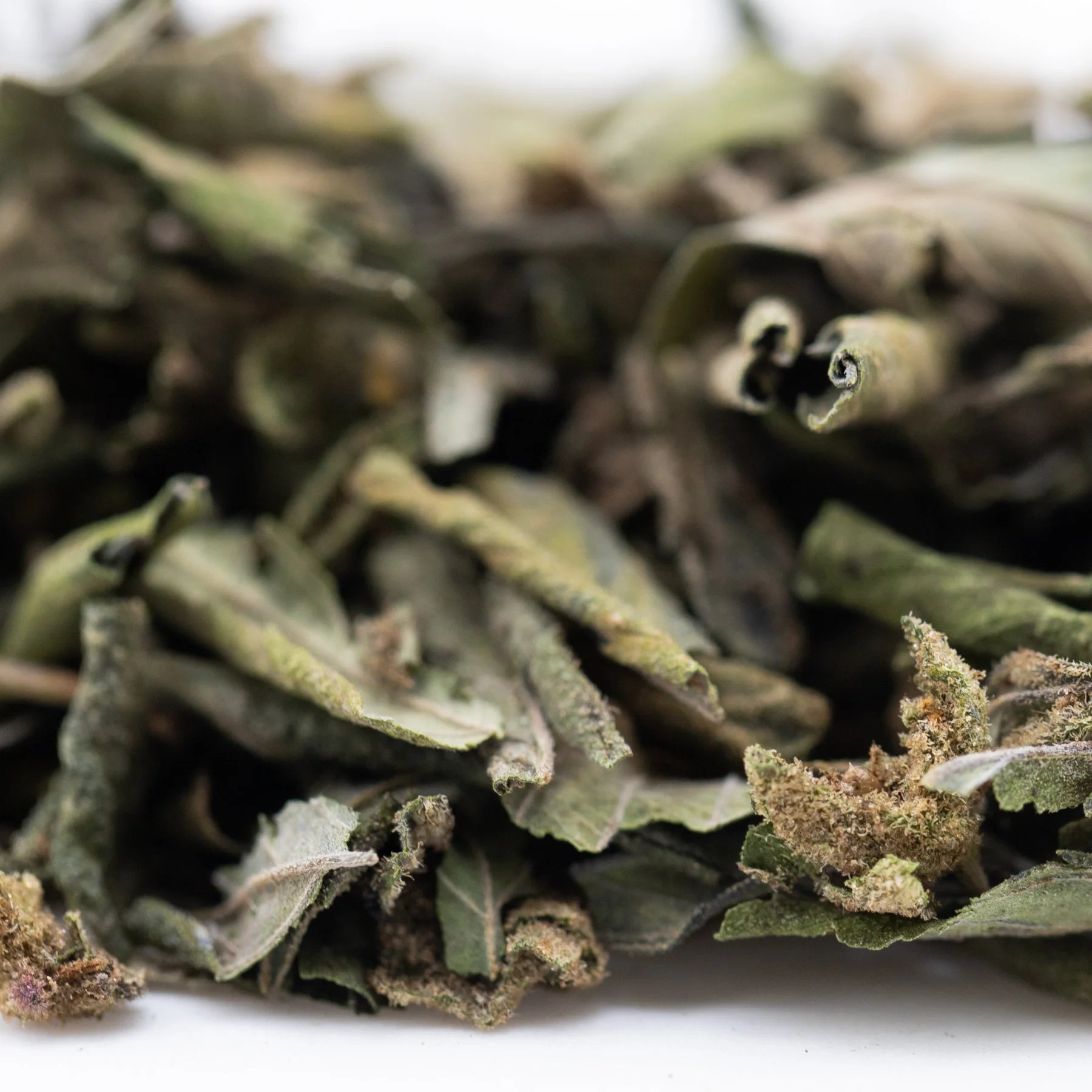 Dried sage leaves with green and brown hues and fine hairs in nascar greenhouse thca trim hemp flower terpene profile