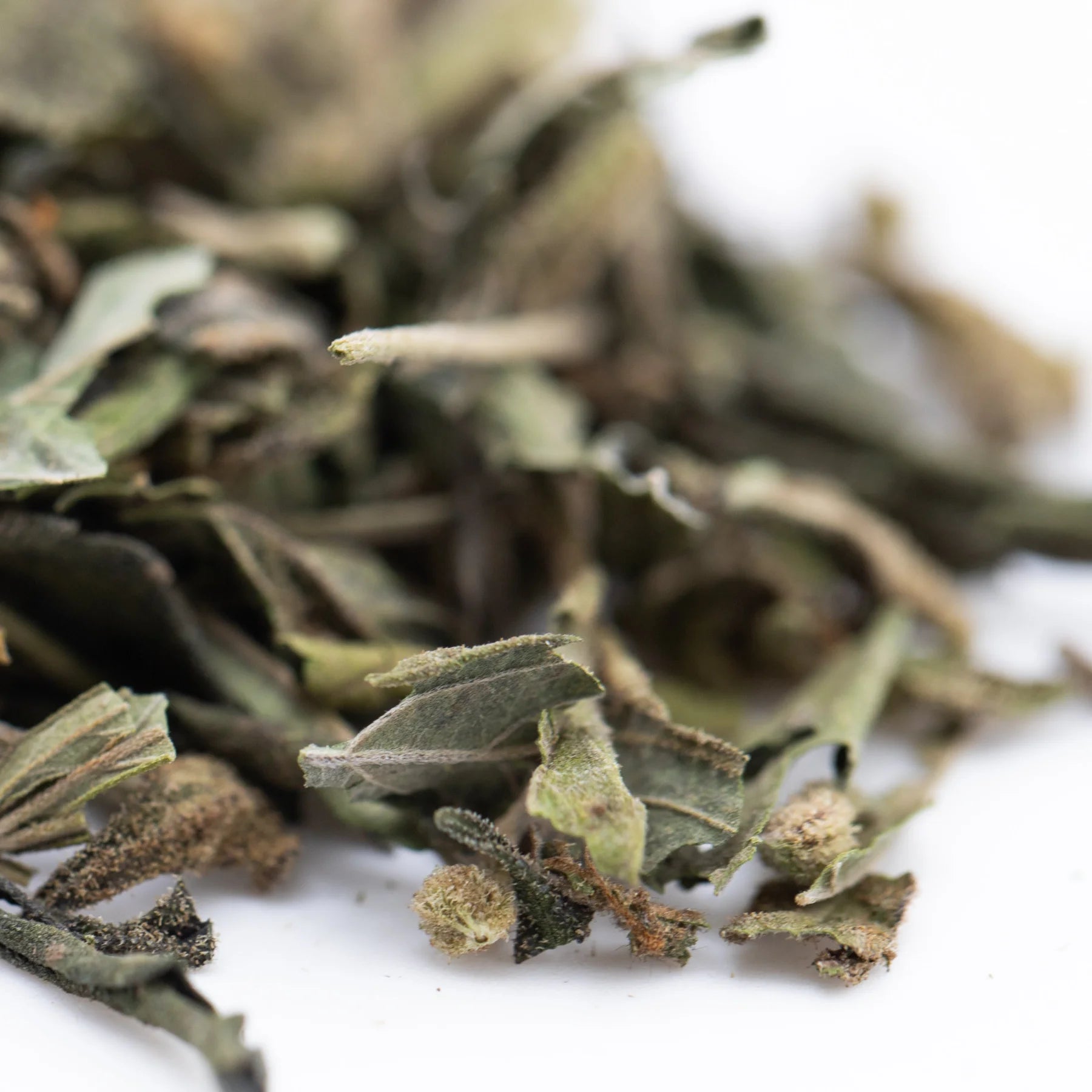 Dried sage leaves with muted green and brown hues featuring fine texture in nascar greenhouse thca trim hemp flower terpene profile
