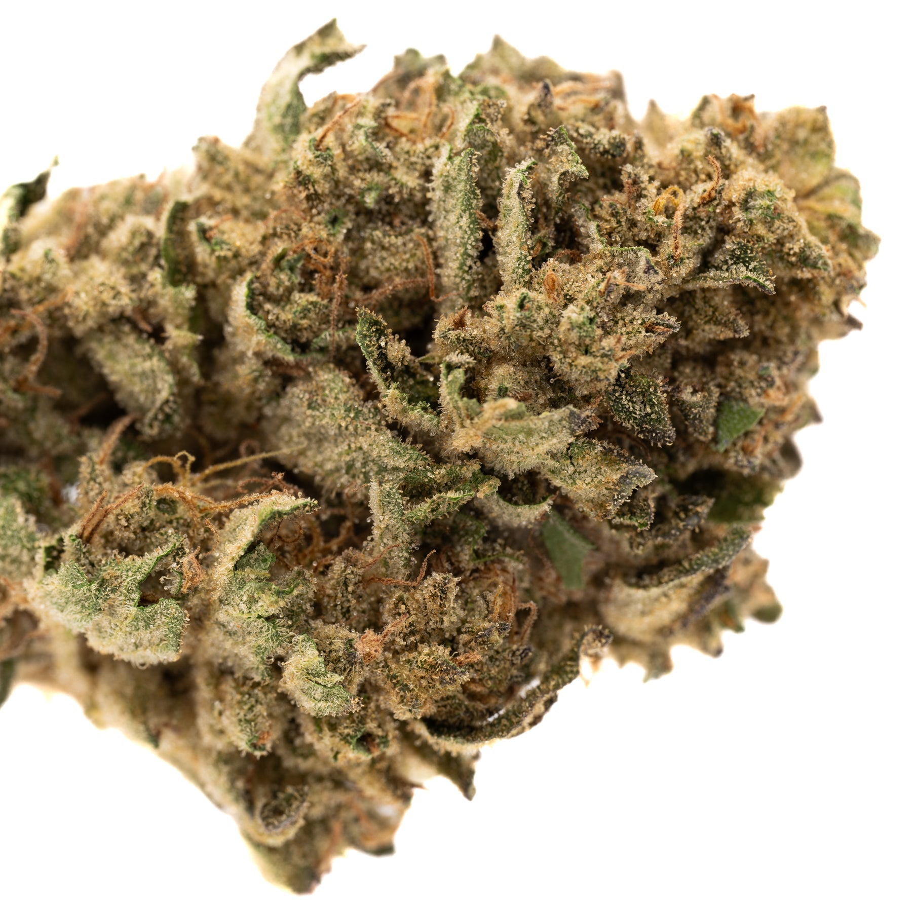 Nascar THCa Flower Full-Term - Plants