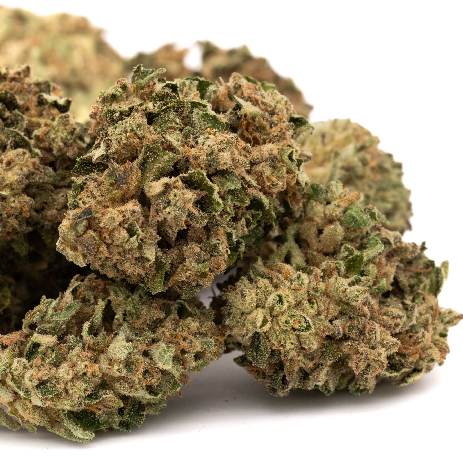 Nascar THCa Flower Full-Term - Plants