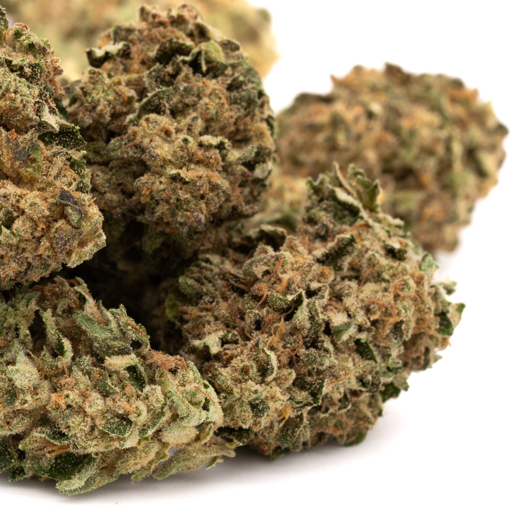 Nascar THCa Flower Full-Term - Plants