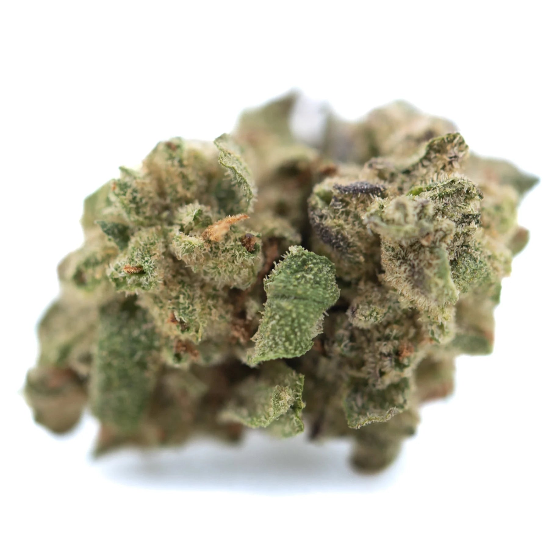 A dense green nascar thca hemp flower with frosty white trichomes and purple hints for physical relaxation