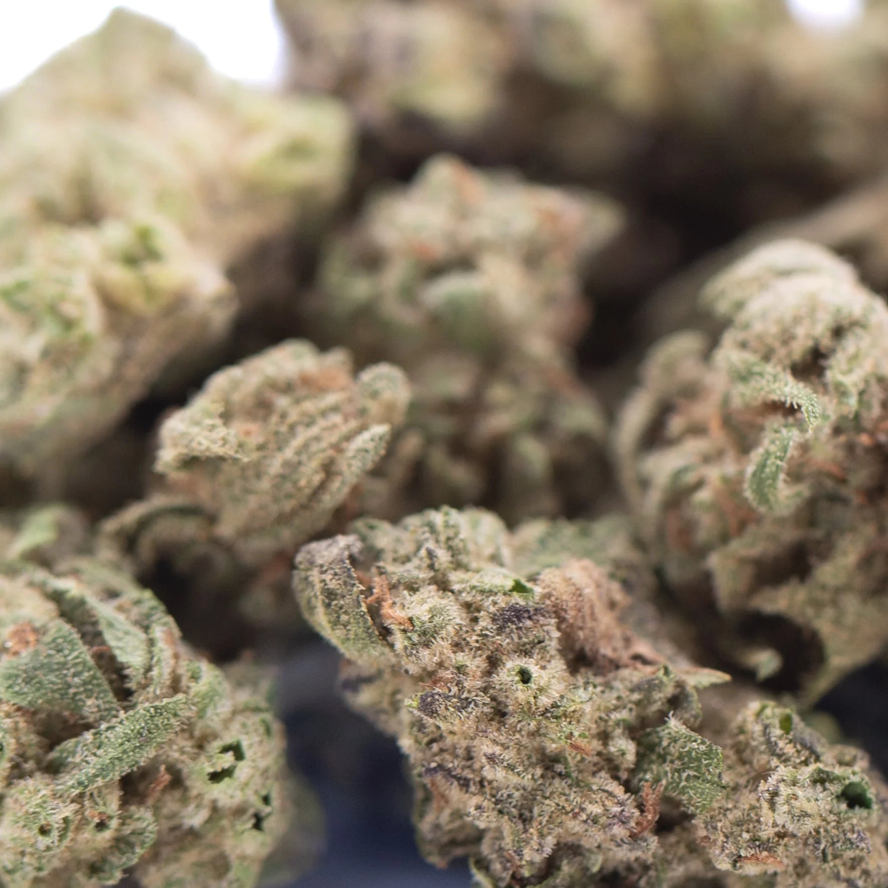 Mature nascar thca hemp flower greenhouse smalls with dense frosty buds and green purple orange trichomes for physical relaxation