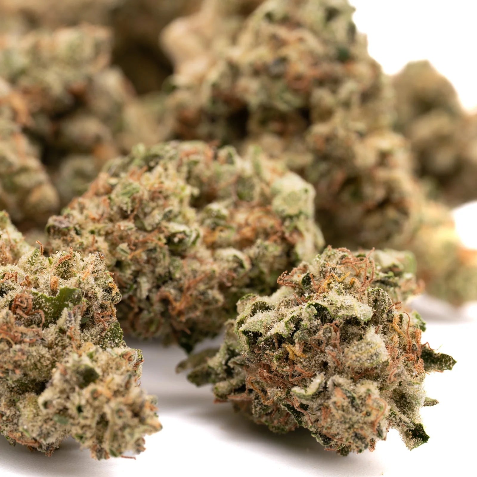 Dried cannabis flower buds from Nascar THCA Hemp Flower Greenhouse Wholesale