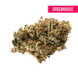 Nascar THCa Hemp Flower Greenhouse - Plants