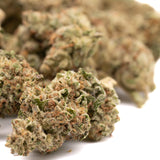 Greenhouse THCA hemp flower buds with orange hairs and white trichomes for Nascar THCA Hemp