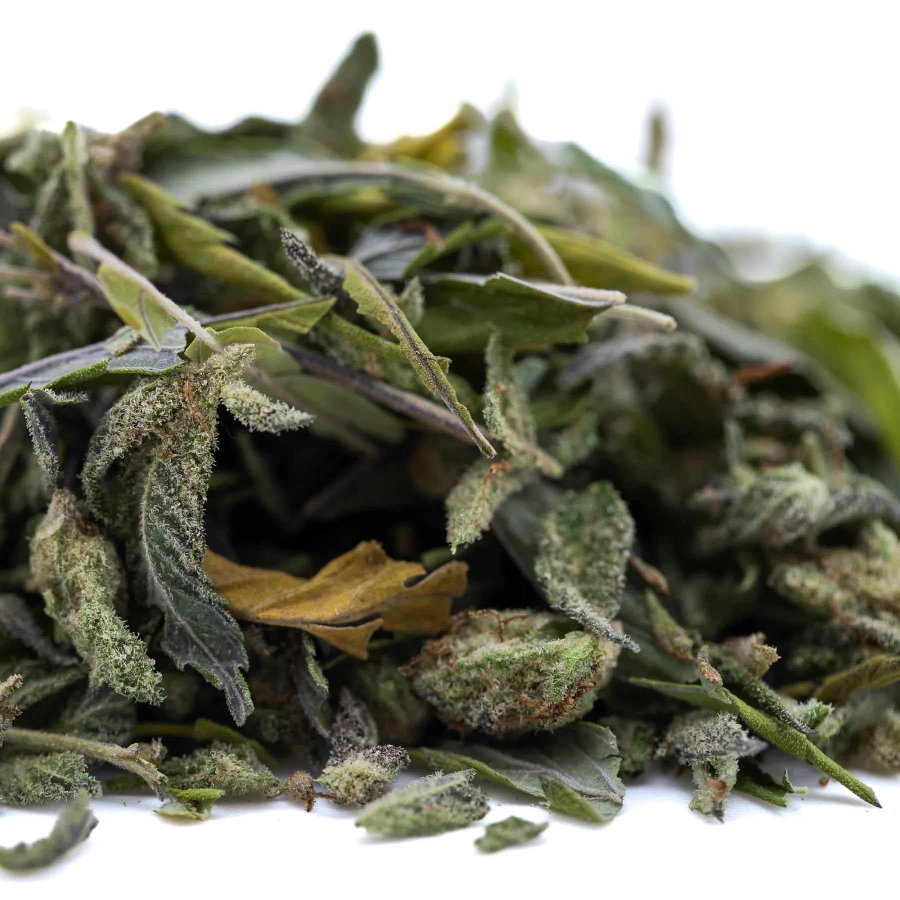 Dried green and yellow mint leaves with frosty texture in nectarine jelly greenhouse thca trim hemp flower wholesale