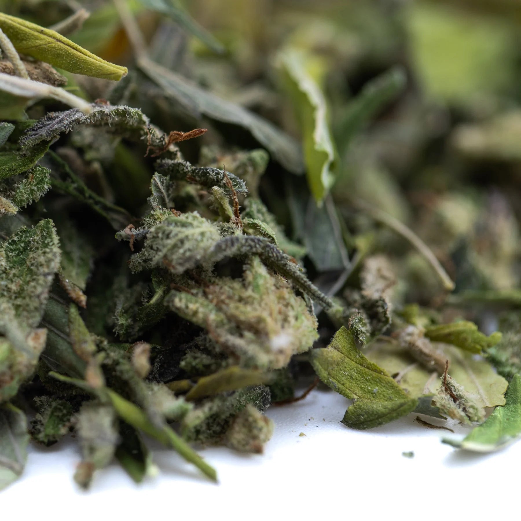 Dried sage leaves with fuzzy textured surface in muted green to gray hues for nectarine jelly greenhouse thca trim hemp flower