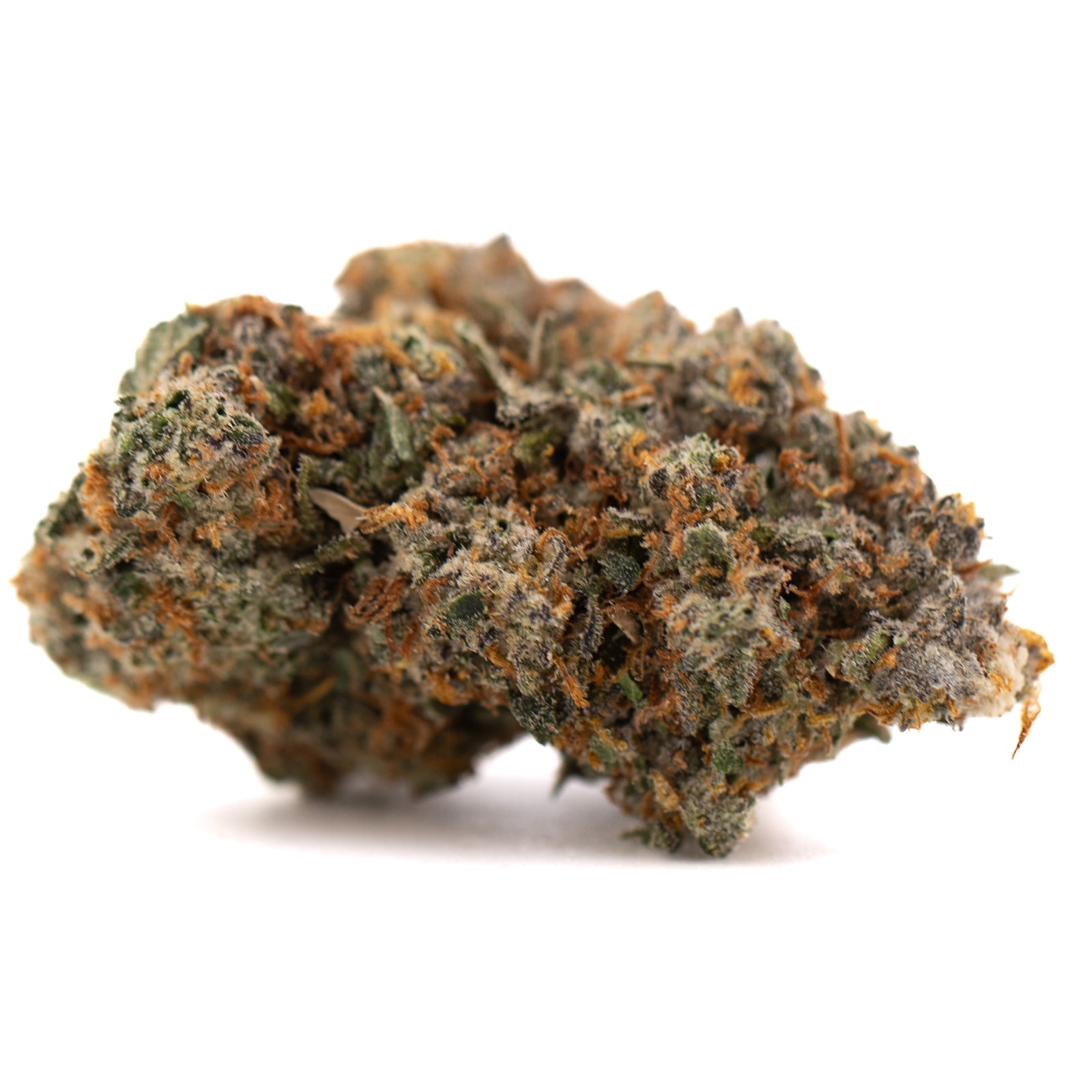 Nectarine Jelly THCa flower bud with orange green hues and white trichomes