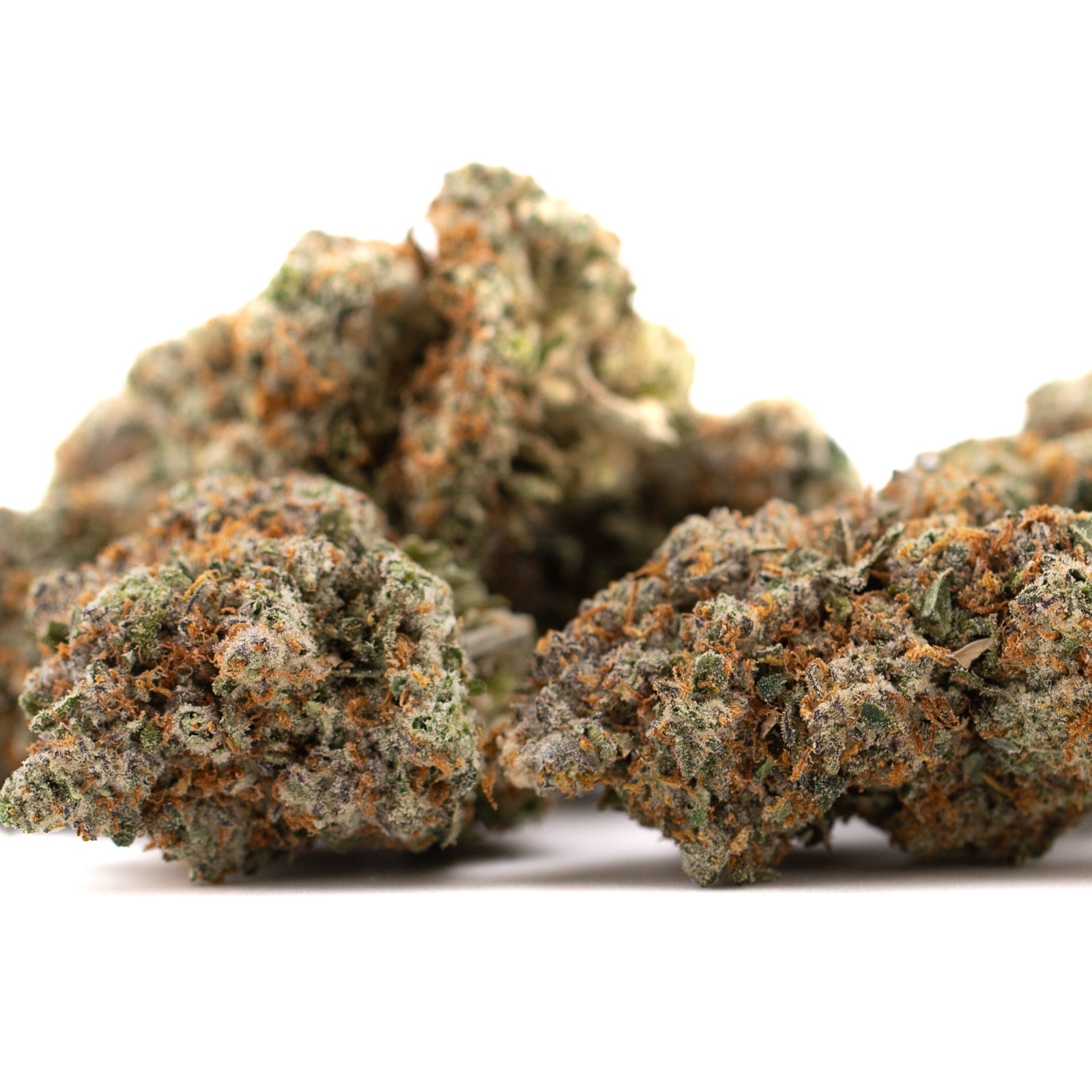 Premium Nectarine Jelly THCa Flower bud with green orange hues and dense trichomes