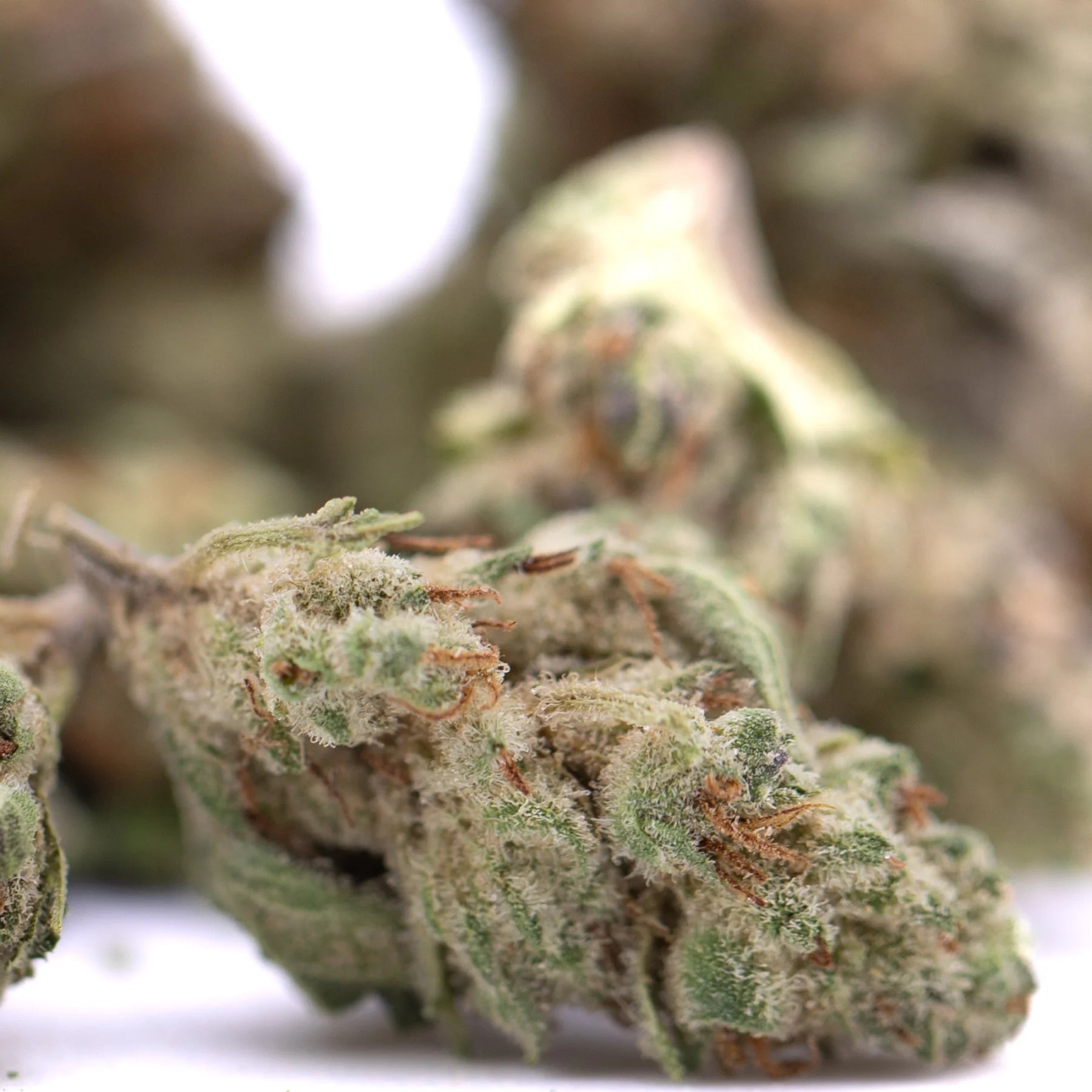 A dense green nectarines jelly thca greenhouse smalls bud with white trichomes and orange pistils in unprecedented sweet-savory style