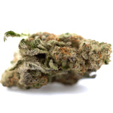 A dense resinous nectarine jelly thca greenhouse smalls cannabis bud with green orange hues and unprecedented sweet-savory trichomes
